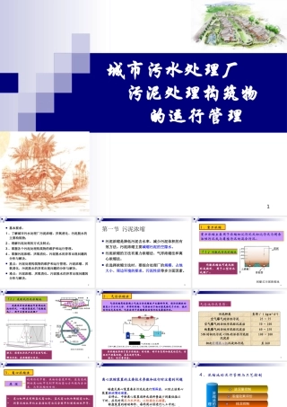 污水污泥处理以及构筑物的运行