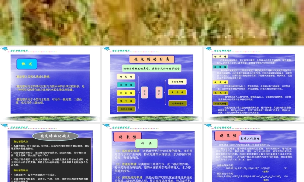 第六章__污水的自然生物处理技术