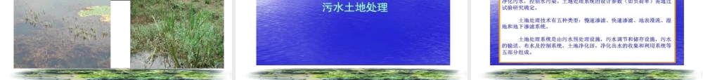 第六章__污水的自然生物处理技术