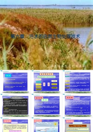 第六章__污水的自然生物处理技术