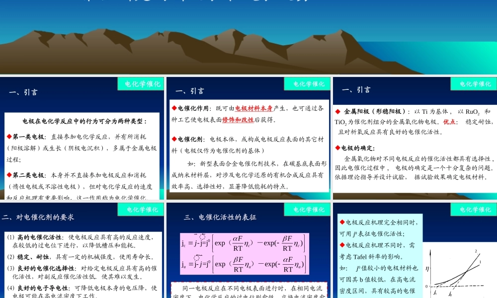 电化学催化