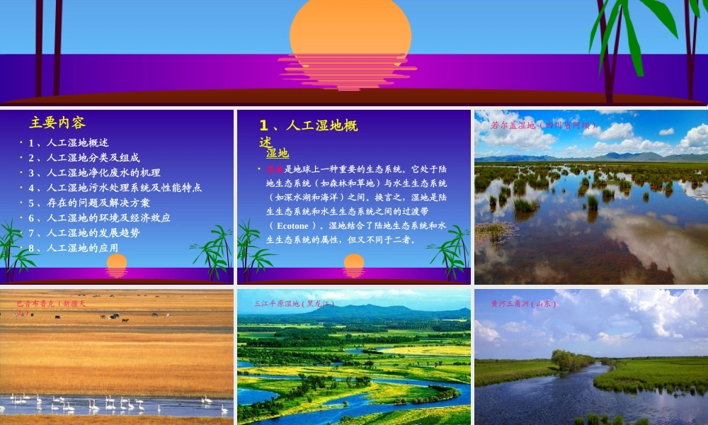 人工湿地处理技术课件
