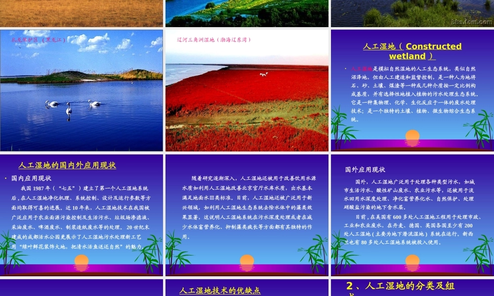 人工湿地处理技术课件