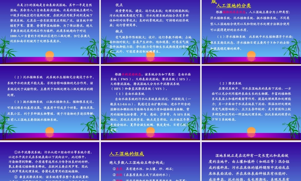 人工湿地处理技术课件