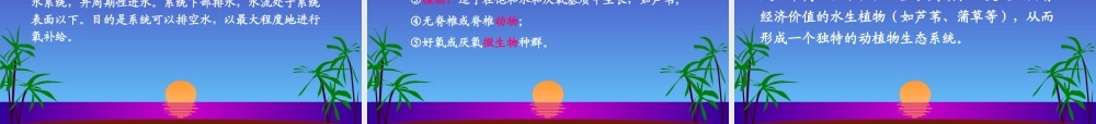 人工湿地处理技术课件