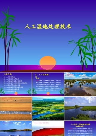 人工湿地处理技术课件