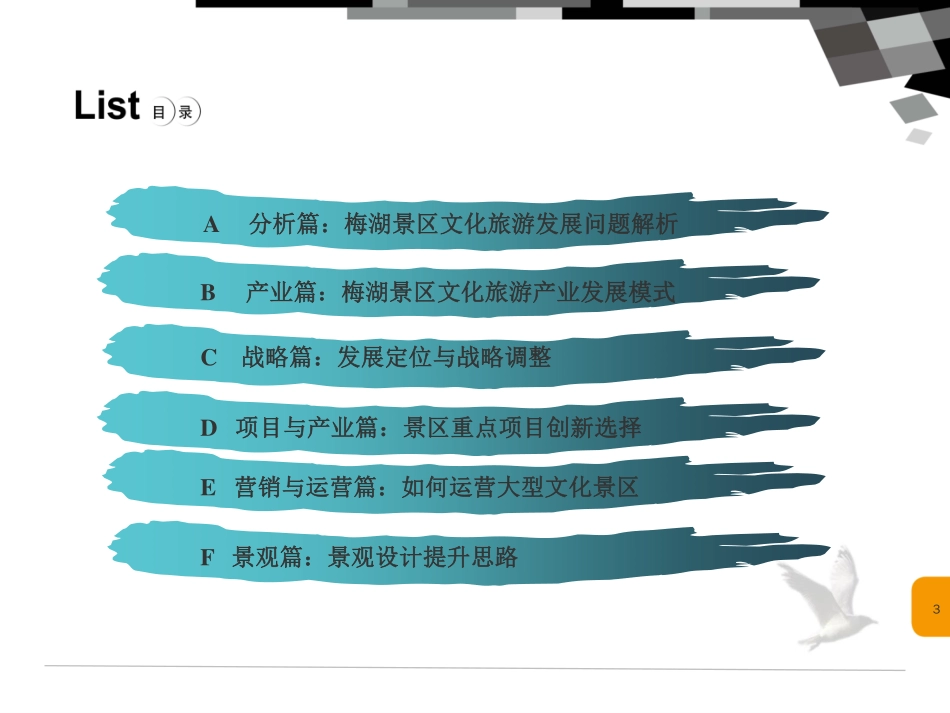 八大山人梅湖景区旅游文化产业策划_第3页
