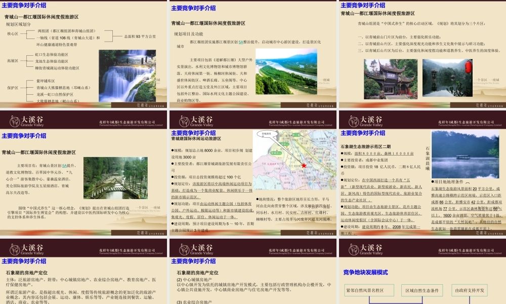 成都花样年-“大溪谷”生态旅游产业园概念策划(外企名地产公司_详细全面_值得借鉴)