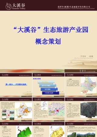 成都花样年-“大溪谷”生态旅游产业园概念策划(外企名地产公司_详细全面_值得借鉴)