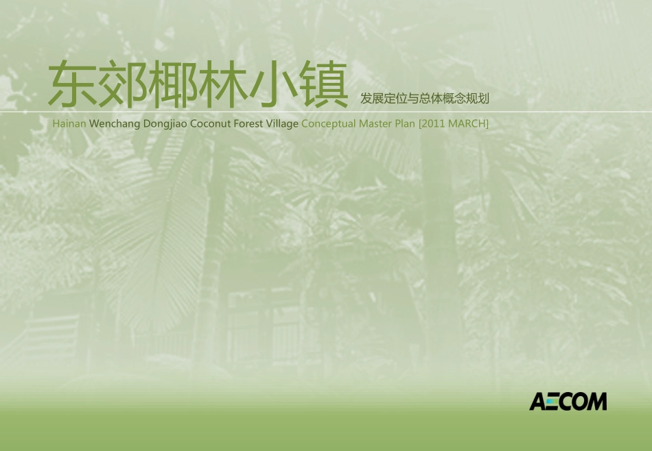海南文昌东郊椰林小镇发展定位与总体概念规划_第1页
