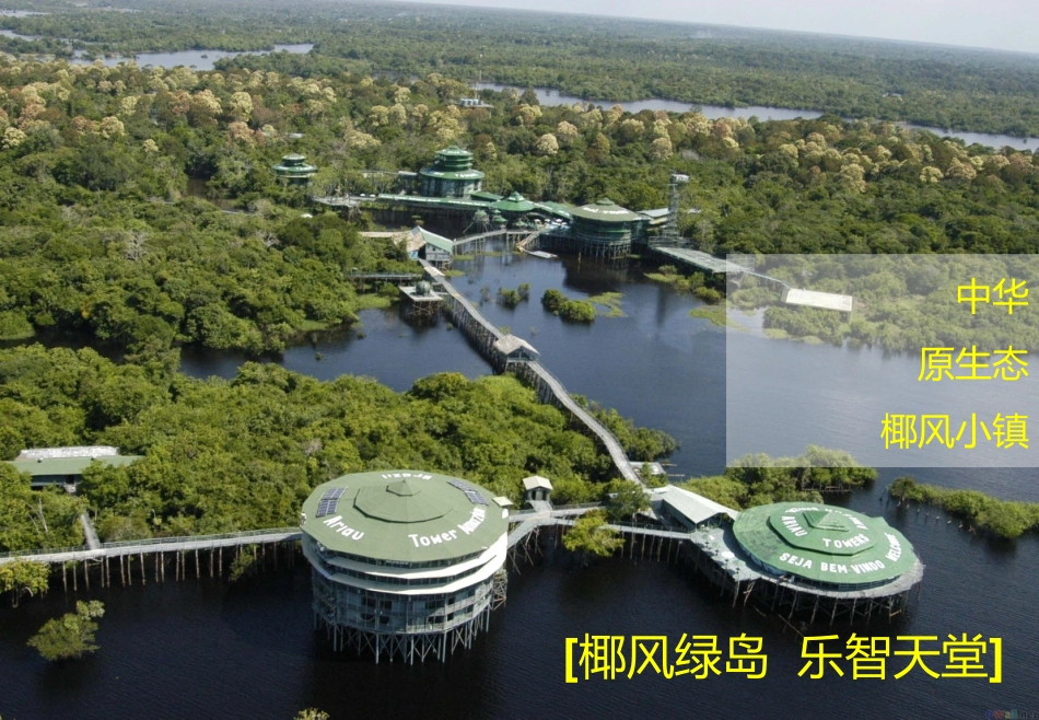 海南文昌东郊椰林小镇发展定位与总体概念规划_第2页