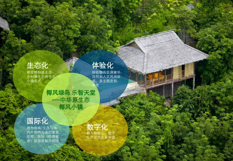 海南文昌东郊椰林小镇发展定位与总体概念规划_第3页