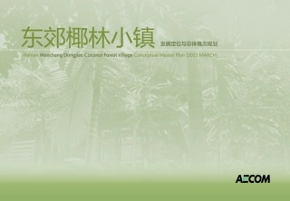 海南文昌东郊椰林小镇发展定位与总体概念规划