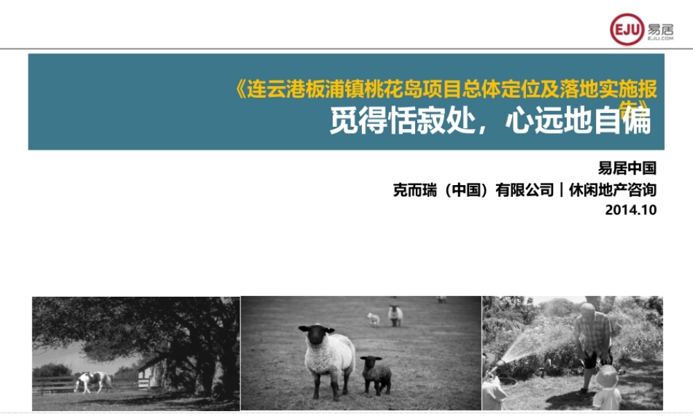 连云港城投板浦镇桃花岛项目总体定位及落地实施报告+设计院方案