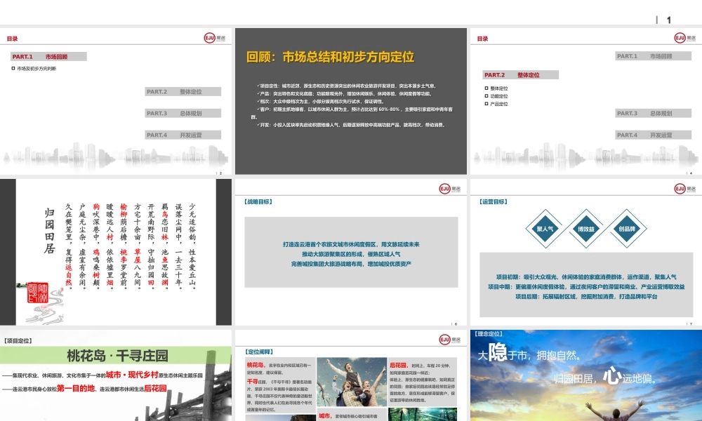 连云港城投板浦镇桃花岛项目总体定位及落地实施报告+设计院方案