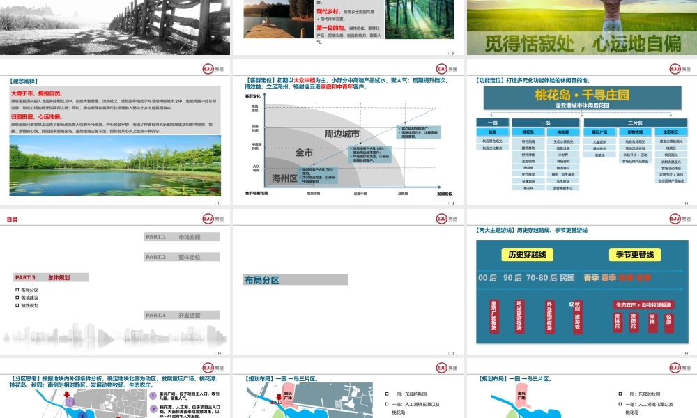 连云港城投板浦镇桃花岛项目总体定位及落地实施报告+设计院方案