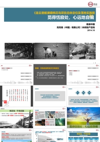 连云港城投板浦镇桃花岛项目总体定位及落地实施报告+设计院方案