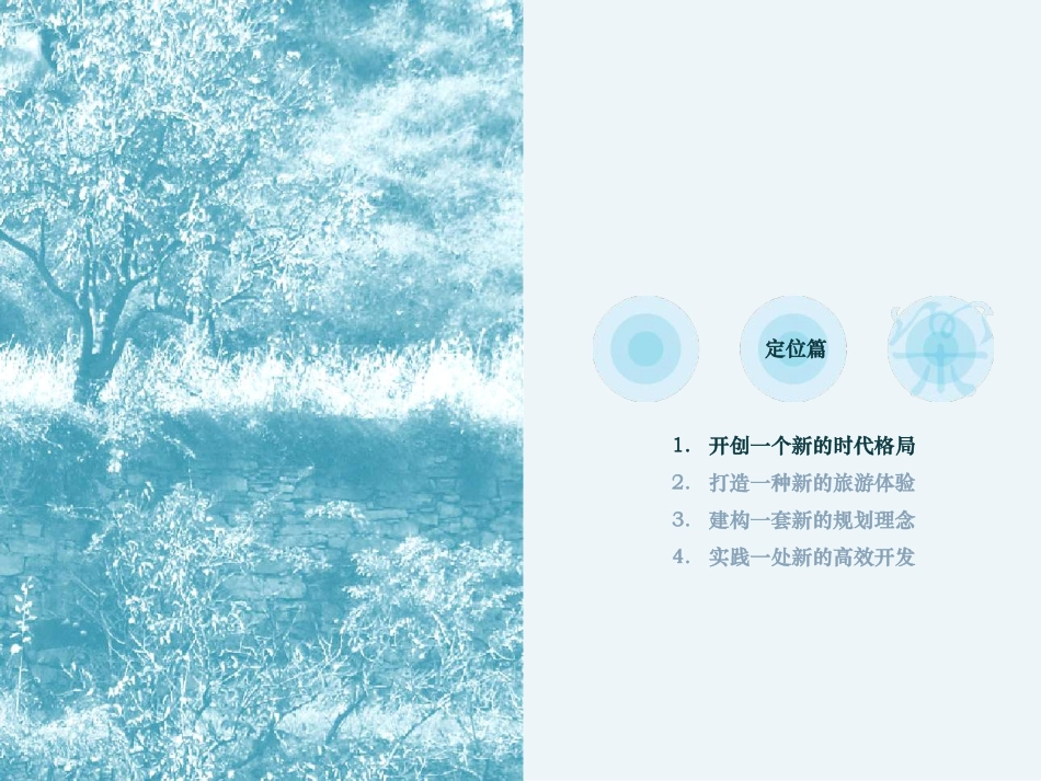 山东济南兴隆旅游城镇概念规划_第3页