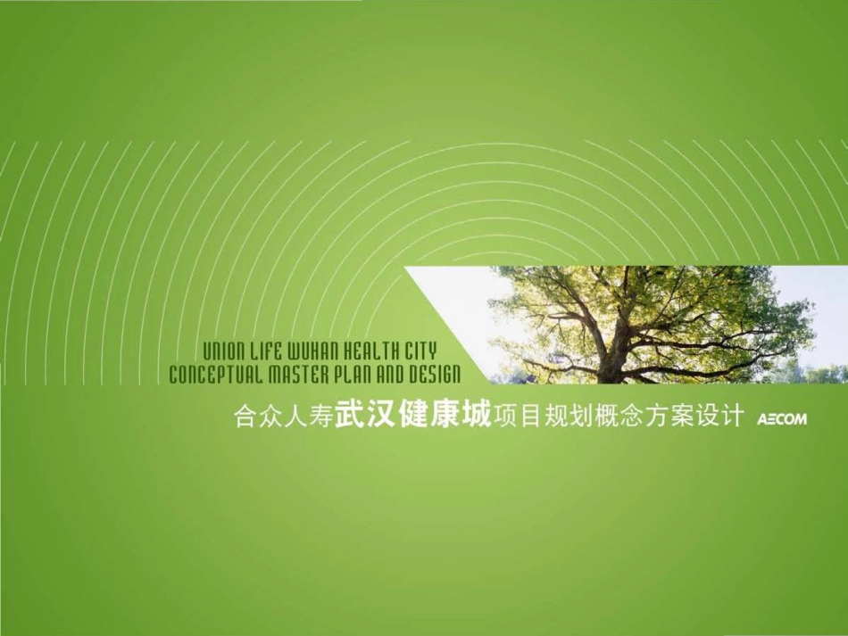 武汉健康城项目概念规划规划 _第1页