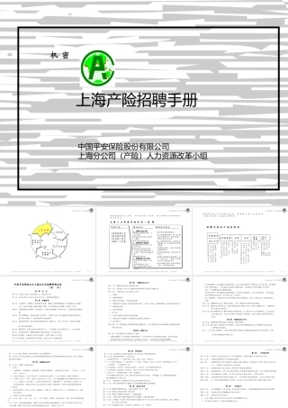 【制度流程册】上海产险招聘手册-76页