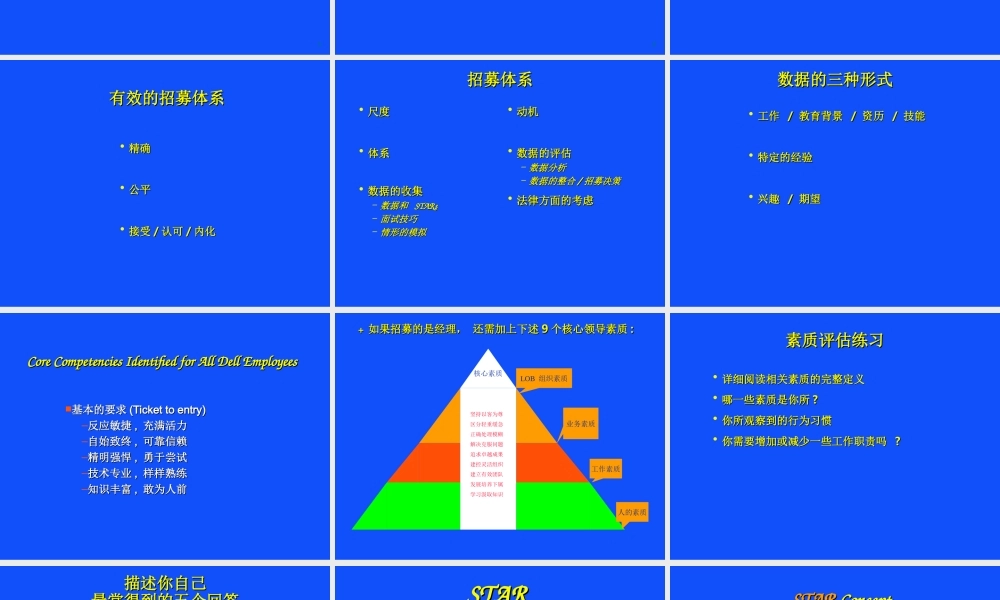 戴尔的人才招募系统-59页