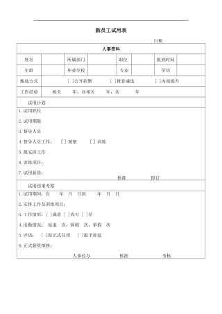 新员工试用表