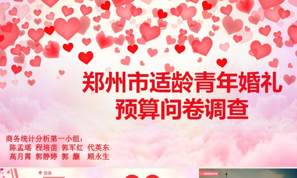 婚恋市场调查