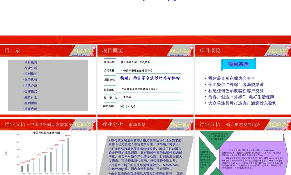 涉外婚介商业计划书