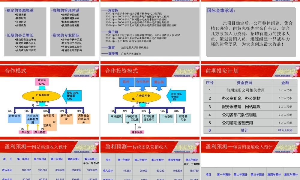 涉外婚介商业计划书