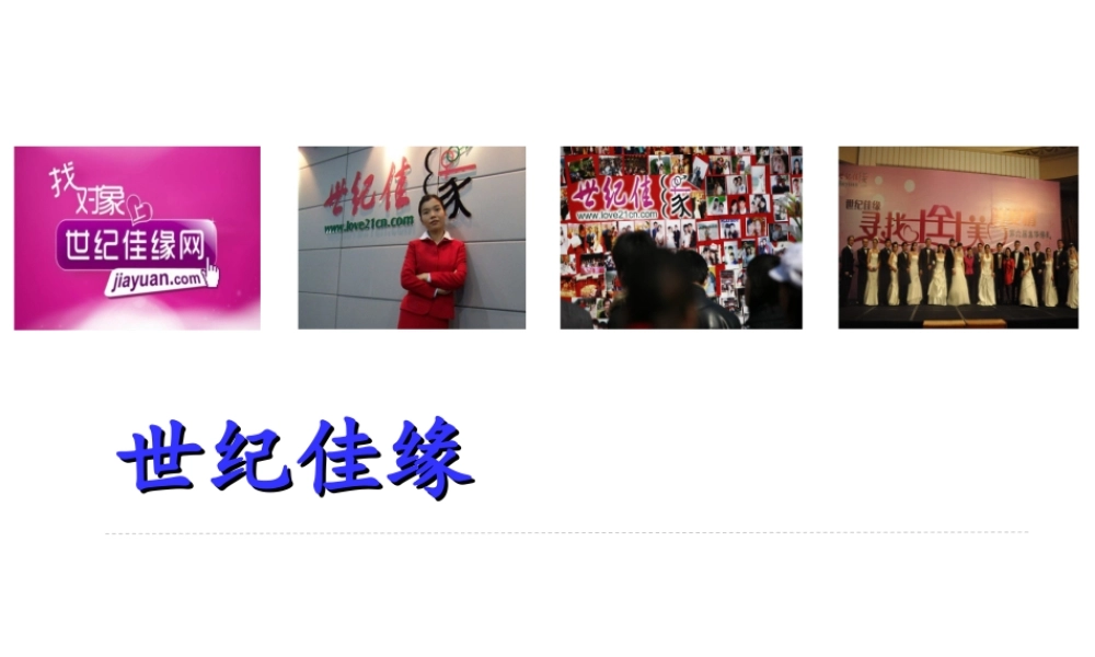 世纪佳缘战略管理分析