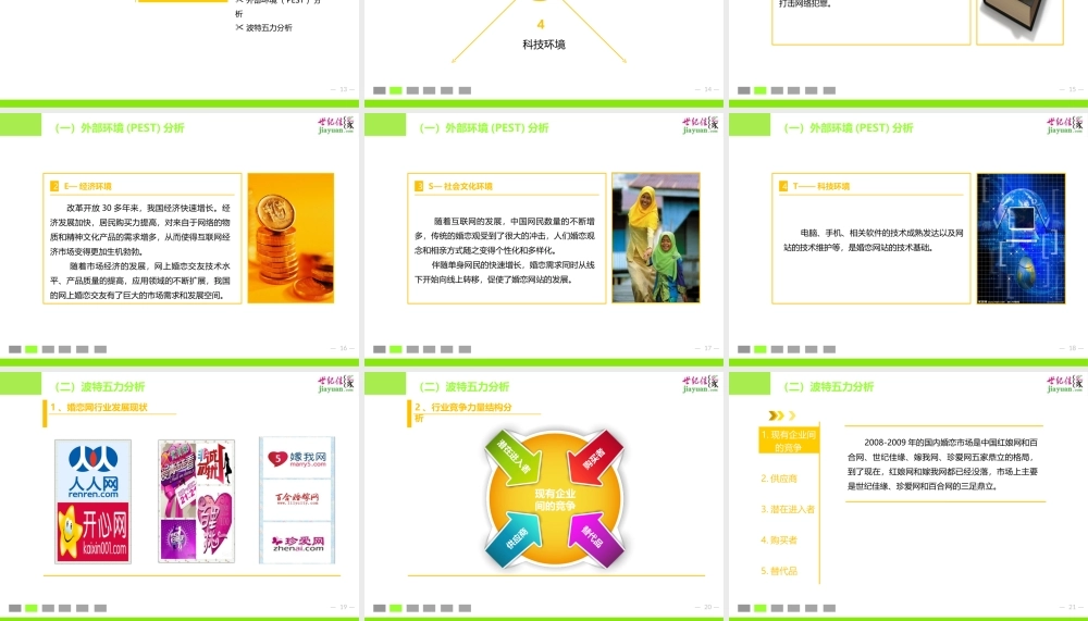 世纪佳缘战略管理分析