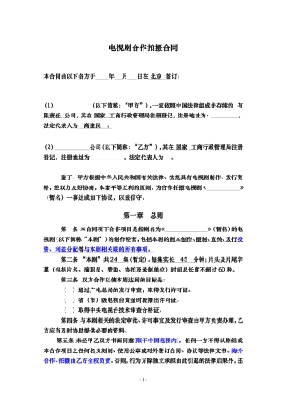 电视剧合作拍摄合同