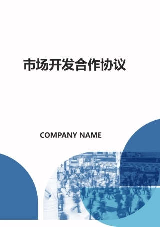 市场开发合作协议