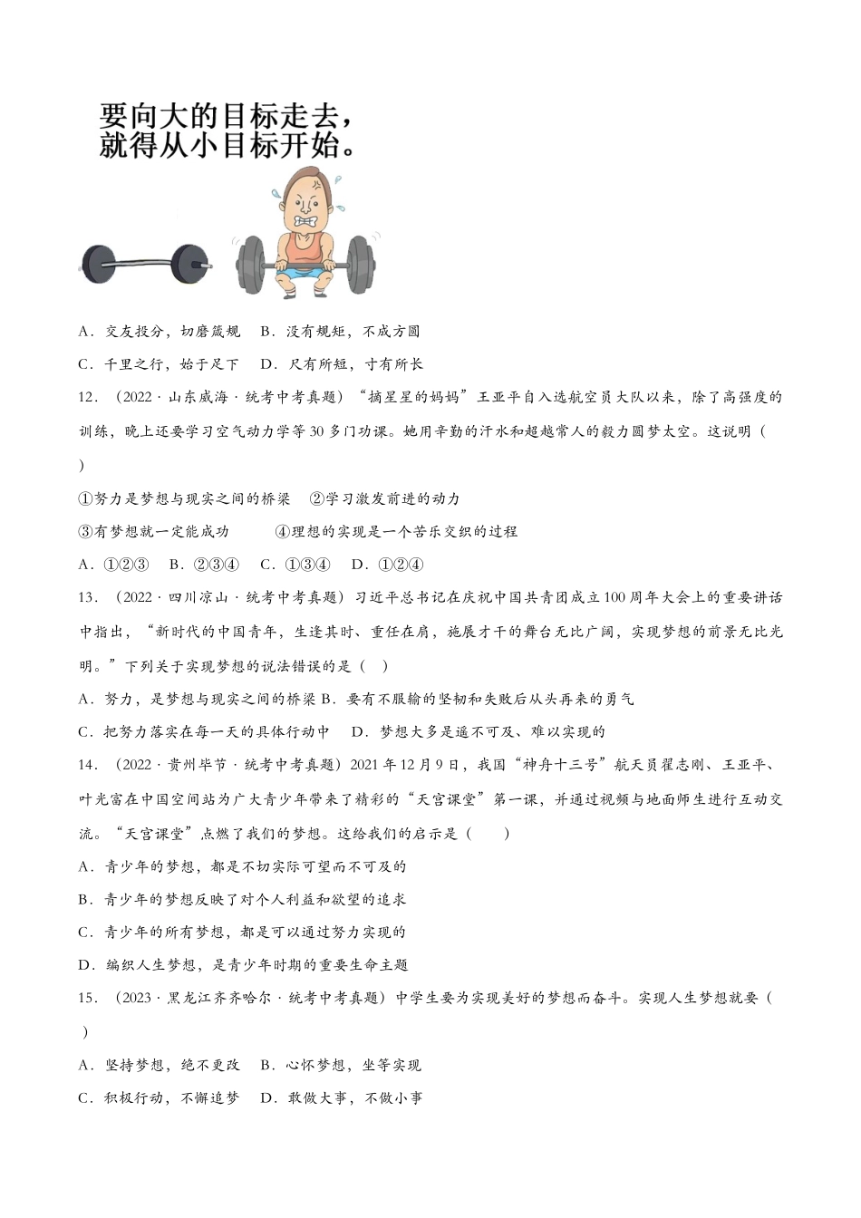 少年有梦（课时检测）（原卷版）_第3页