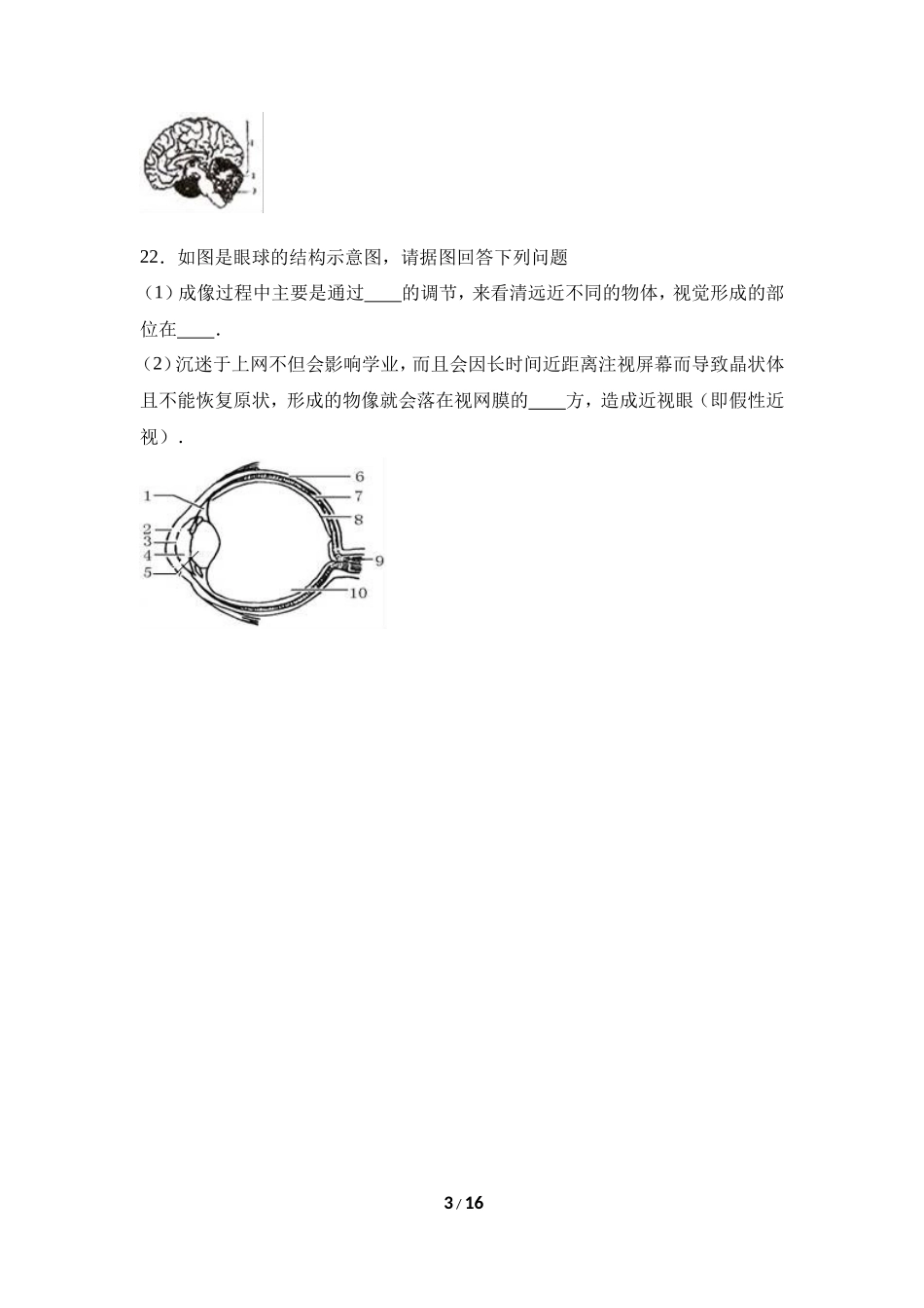 人教版七年级（上）期末生物试卷（五）_第3页