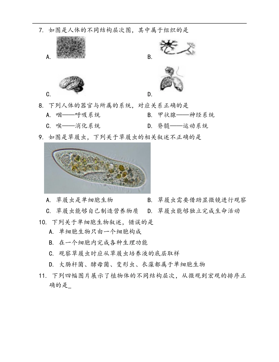 第2单元第2章 细胞怎样构成生物体 随堂练习（word版含答案）_第2页