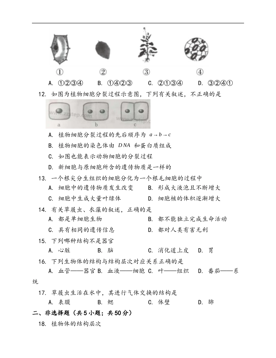 第2单元第2章 细胞怎样构成生物体 随堂练习（word版含答案）_第3页