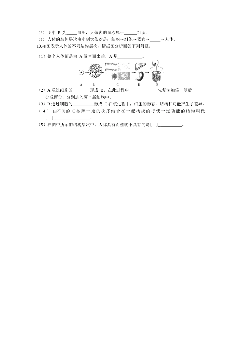 第2单元2.2动物体的结构层次同步练习题_第3页