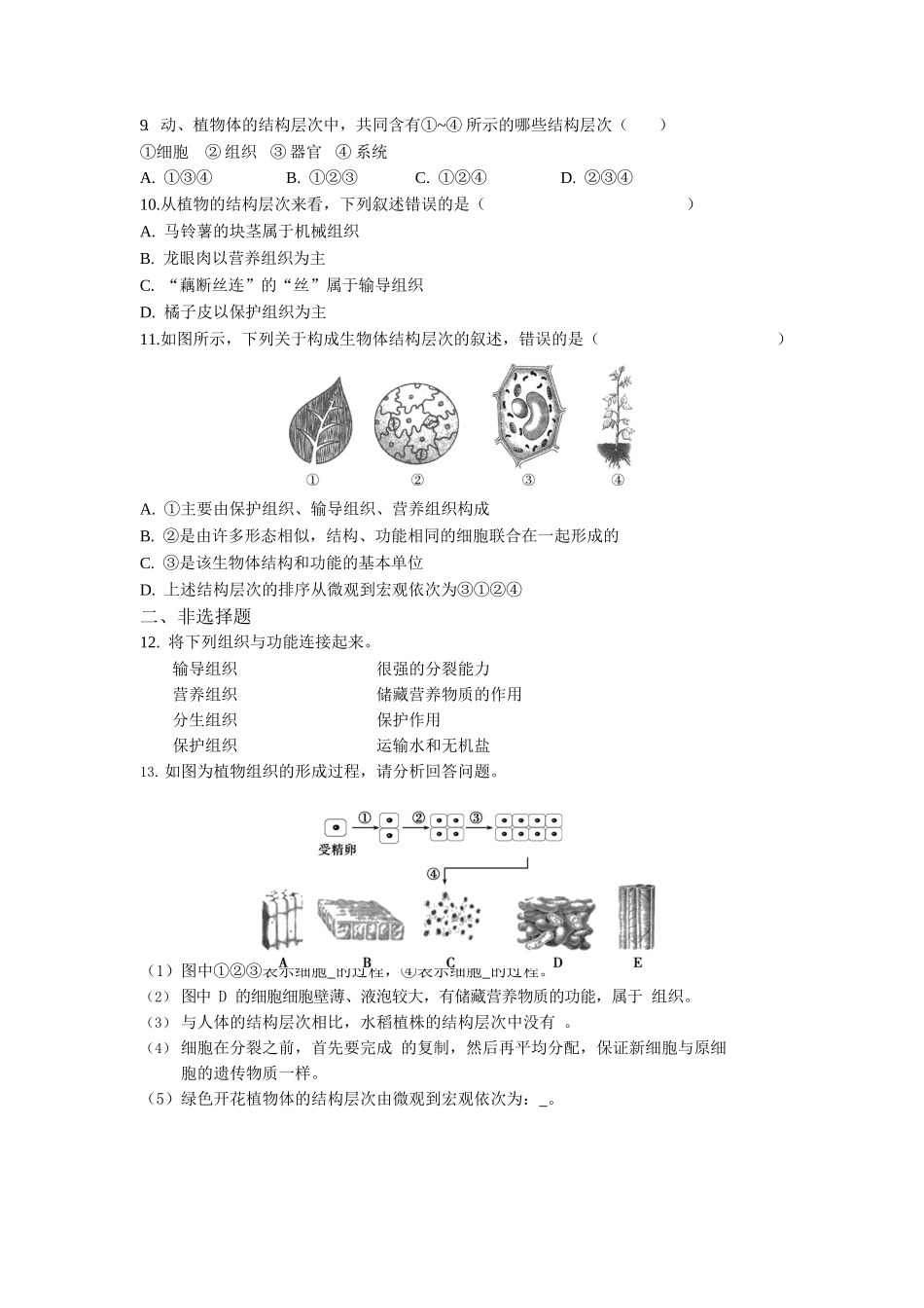 第2单元2.3植物体的结构层次同步练习题_第2页