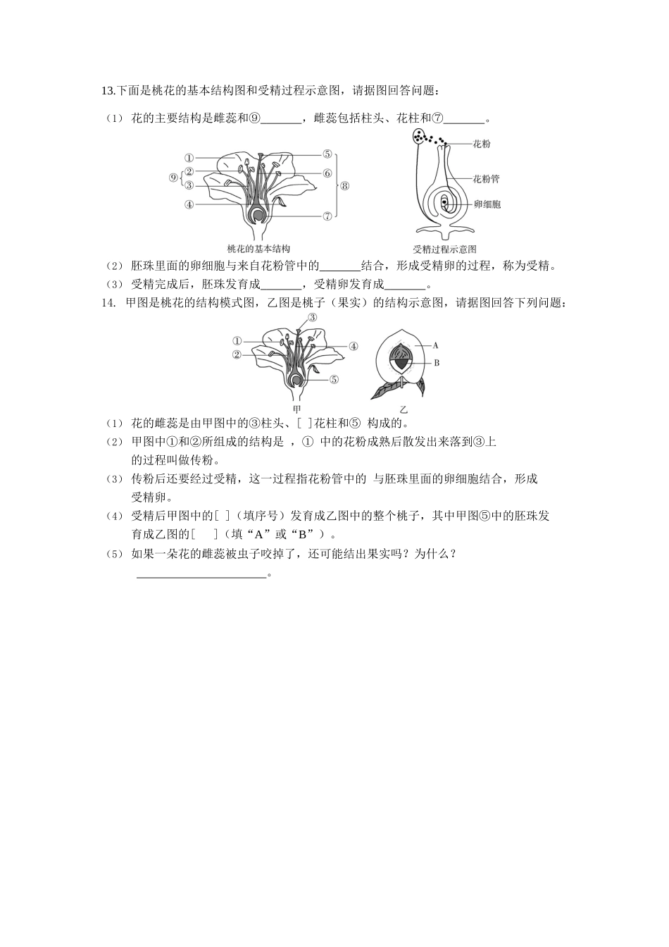 第3单元2.3开花和结果同步练习题_第3页