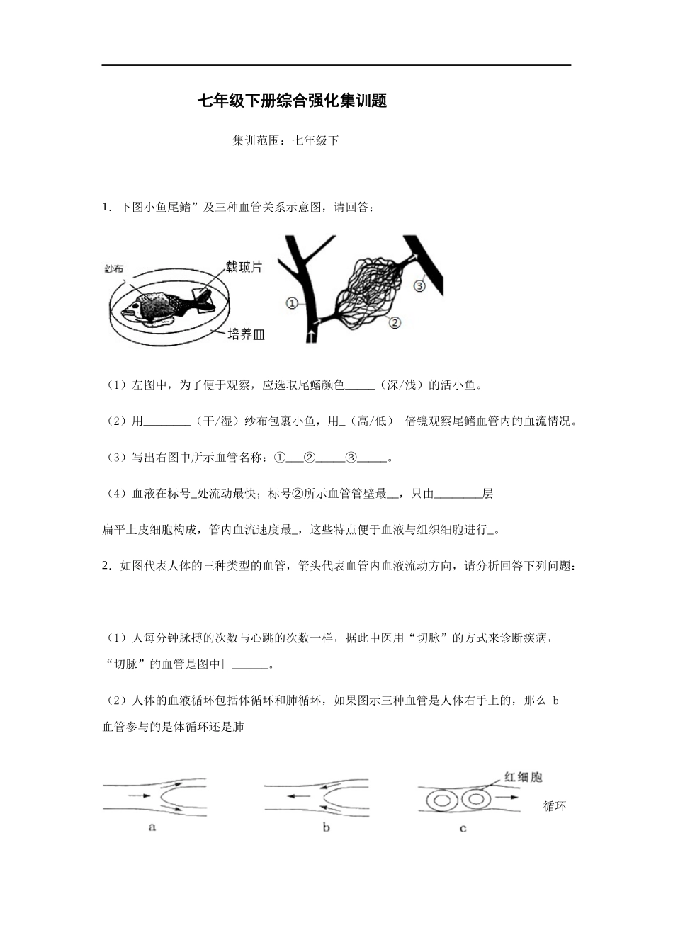 七年级生物下册综合测试题_第1页