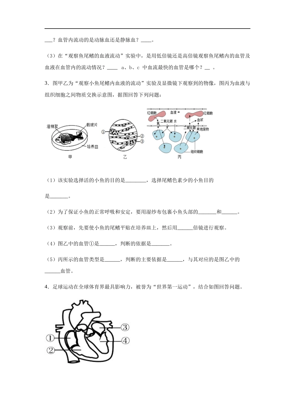 七年级生物下册综合测试题_第2页