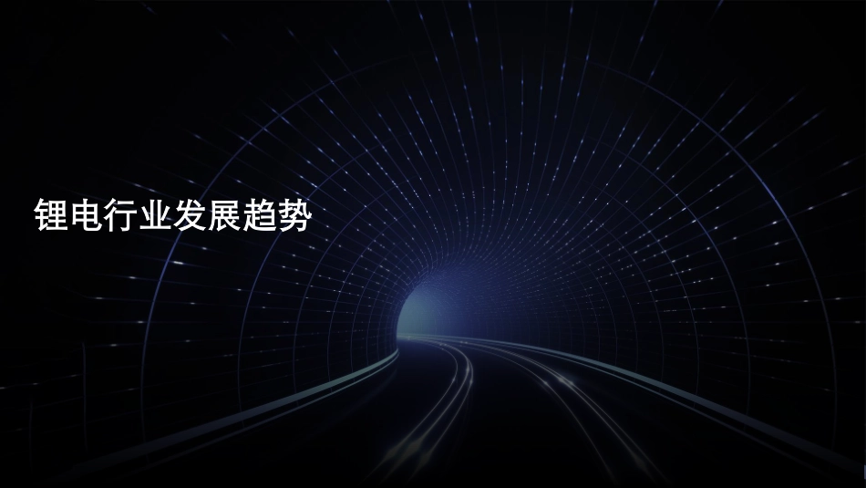 2021中国锂电行业发展-德勤_第3页