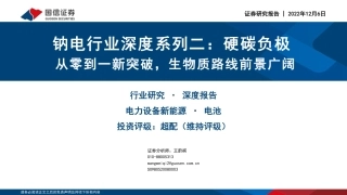 钠电行业深度系列：硬碳负极从零到一新突破，生物质路线前景广阔-国信证券