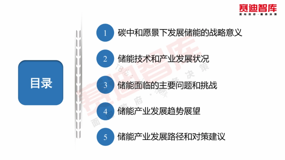 碳中和愿景下储能产业发展白皮书_第2页