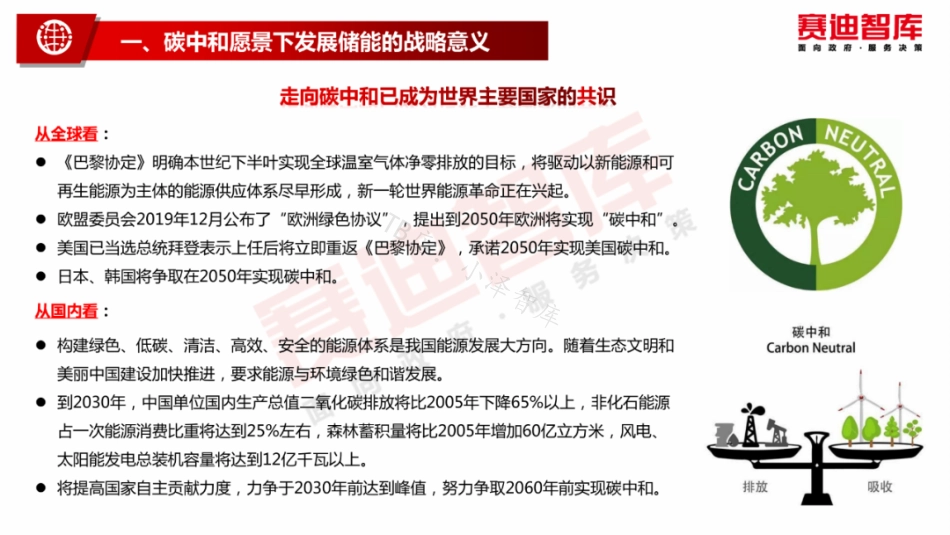 碳中和愿景下储能产业发展白皮书_第3页
