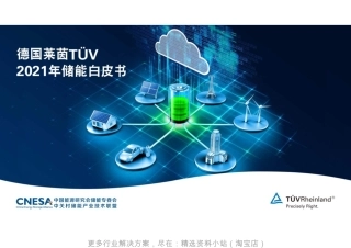 中国能源研究会储能专委会德国莱茵2021年储能白皮书80页
