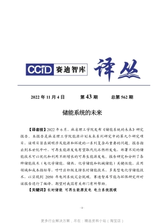 赛迪译丛储能系统的未来202216页