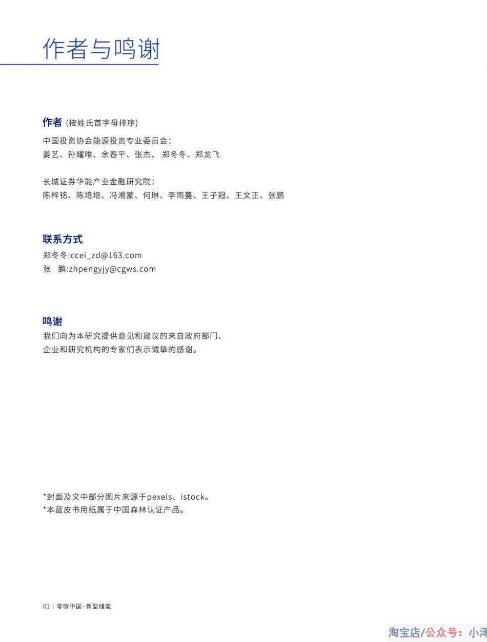 新型储能现存问题及解决方案：《零碳中国·新型储能》蓝皮书（2022版）_第2页
