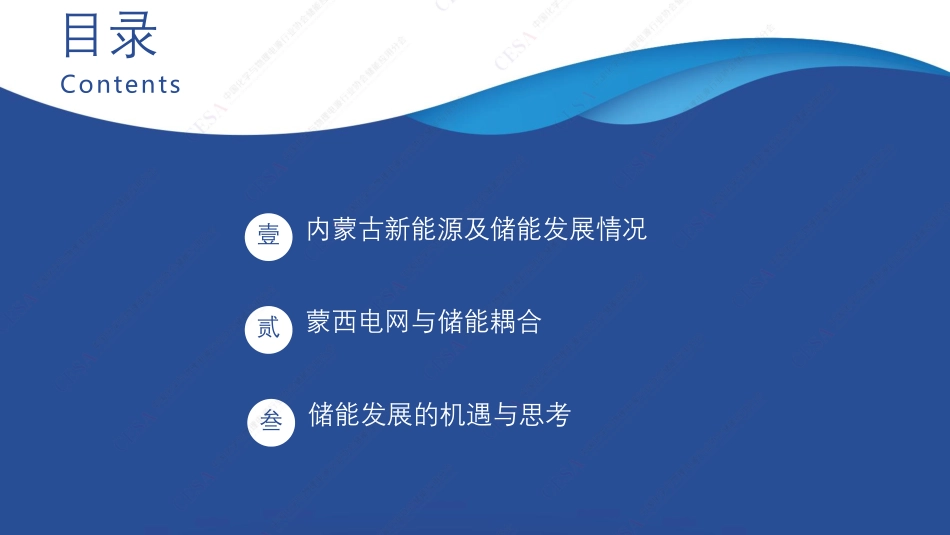 赵晨旭-储能发展的机遇与挑战_第2页